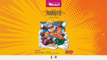 Naruto : Le Ninja phénomène